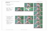 Kihon - Karate Dojo Shumpu-Kan Konstanz · sammenhangs von Kata und sinnvollen Anwendungen zeigen können. Alle bis zu Alle bis zu der jeweiligen Graduierung erlernten Kata gehören