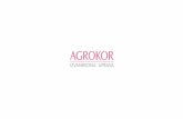 Nalazi revizije za 2016. godinu - hrt.hr · Nalazi revizije za 2016. godinu Konsolidirana Agrokor Grupa i Agrokor d.d. 9. listopada 2017.