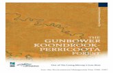 The Gunbower-Koondrook-Perricoota Forest Icon Site ... · Gunbower-Koondrook-Perricoota Icon Site Environmental Management Plan 2006-07 v Executive summary The Living Murray Initiative