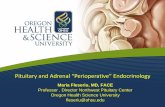 Pituitary and Adrenal “Perioperative” Endocrinologyam2017.aace.com/files/presentations/wednesday/w32/w32c-fleseriu.pdf · – Particularly in tumors greater than 3.5 cm or causing