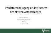 Prädatorenbejagung als Instrument des aktiven Artenschutzes · Prädatorenbejagung als Instrument des aktiven Artenschutzes Dr. Astrid Sutor Niederwildsymposium Mainz 11.April 2019