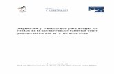 Diagnóstico y lineamientos para mitigar los efectos de la ... · embargo, la magnitud observada para la golondrina de mar negra (Oceanodroma markhami) en la región de Tarapacá