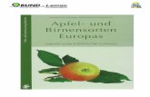 +Gesellschaft für Pomologie und Obstsortenerhaltung Bayer ... · - 1 - Obstsortenliste – Gesellschaft für Pomolgie und Obstsortenerhaltung Bayern: „Apfel- und Birnensorten Europas“