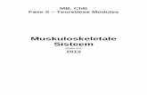 Muskuloskeletale Sisteemacademic.sun.ac.za/ortho/students/371/371-afr.pdf · MB, ChB Fase II – Teoretiese Modules 2013 MUSKULOSKELETALE SISTEEM 52302 371 MODULE VOORSITTER: Dr ICM
