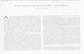 Liebermann und Rembrandt - eine Skizze - archiv.ub.uni ...archiv.ub.uni-heidelberg.de/artdok/5288/1/Mueller_Liebermann_und... · Liebermann und Rembrandt - eine Skizze. JÜRGEN MÜLLER.