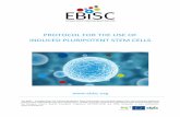 PROTOCOL FOR THE USE OF INDUCED PLURIPOTENT STEM … · The EBiSC - European Bank for induced pluripotent Stem Cells project has received support from the Innovative Medicines Initiative