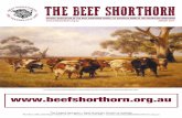 THE BEEF SHORTHORN · the beef shorthorn official newsletter of the beef shorthorn society of australia home of the australian shorthorn  august 2017