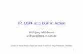 IP, OSPF and BGP in Action - TUM Info VIII: Homepage · 2 Content Routing protocols Intra-domain: Open Shortest Path First (OSPF) Inter-domain: Border Gateway Protocol (BGP) Configuration