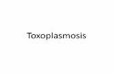 The word Toxoplasma - prime.edu.pk · Toxoplasmosis is caused by ingesting contaminated vegetables, water, fruit and undercooked/raw meat. By ingesting contaminated feces, for example