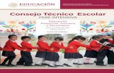 Consejo Técnico Escolar - educacionbasica.sep.gob.mx · Subsecretaría de Educación Básica Dirección General de Desarrollo de la Gestión Educativa Educación Preescolar, Primaria