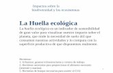 La Huella ecológica - unlp.edu.ar · 1 La Huella ecológica La huella ecológica es un indicador de sostenibilidad de gran valor para visualizar nuestro impacto sobre el planeta,