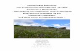 Ökologisches Gutachten zum Flurneuordnungsverfahrens VF ... · Gemeine Nachtkerze (Oenothera biennis) Rosenmalve (Malva alcea) In den genannten Vegetationstypen der ausdauernden