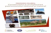PROGRAMUL PA16/RO12 Conservarea și revitalizarea ... PATRIMONIU RO12.pdf · 4 conservarea și revitalizarea patrimoniului cultural și natural 5 Proiectul „Inițiativă de patrimoniu