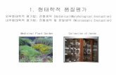 1. 형태학적 품질평가 - contents.kocw.netcontents.kocw.net/KOCW/document/2014/Yeungnam/SangHeeShim/051.pdf · 1. 매우 간단하고 단시간에 평가 가능, 비교적 분리능이