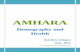 AMHARA - ethiodemographyandhealth.org · "Much of the annual rainfall comes in short violent events of up to 100 mm/day. The exposure of denuded slope areas to this type of rainfall