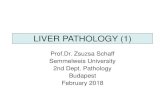 LIVER PATHOLOGY (1) - Semmelweis Pathology (1) • Structure of the liver • General reactions of the liver • Diagnosis of liver diseases • Congenital liver diseases, enzymopathies