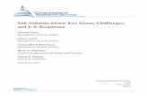 Sub-Saharan Africa: Key Issues, Challenges, and U.S. Responses · Sub-Saharan Africa: Key Issues, Challenges, and U.S. Responses Congressional Research Service 2 including South Africa,