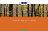 Natura 2000 und Wälder - ec. Guide... · PDF fileZWECK DIESES DOKUMENTS Weshalb ein neues Dokument zum Thema „Natura 2000 und Wälder“? Dieses Dokument wurde erarbeitet, weil