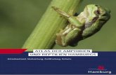 ATLAS DER AMPHIBIEN UND REPTILIEN HAMBURGS€¦ · Einleitung 4 ATLAS TILIEN GS In der Bundesrepublik Deutschland sind alle heimischen Amphibien und Reptilien besonders geschützt
