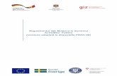 Regulamentul GIZ Moldova în domeniul Achizițiilor Publiceserviciilocale.md/public/files/achizitii publice/2017_12_21_Regulament... · privind achizițiile publice aplicabile programelor