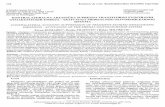 doiserbia.nb.rsdoiserbia.nb.rs/img/doi/0025-8105/2003/0025-81050304124K.pdf · Summary Medial o/ivOCochtear pathway represents the final parr of efferent acoustic pathway which comes