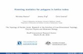Knotting statistics for polygons in lattice tubes - birs.ca fileNicholas Beaton (Melbourne) Knotting statistics for polygons in lattice tubes March 26, 20192/21 SAPs in Z 3 Aself-avoiding