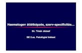 Haematogen áttétképzés, szerv-specificitás…semmelweis.hu/patologia2/files/2015/12/hema_phd.pdf · Hematogén metasztatikus kaszkád 10 9-11 Primary tumor (angiogenesis) Local