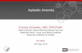 Aplastic Anemia - aamds.org Aplastic Anemia... · Aplastic anemia is an historic disease. The young Paul Ehrlich’s case report, noting the fatty marrow not expected of pernicio\൵s