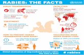 RABIES: THE FACTS - who.int · 15 mins Rabies affects poor rural communities mostly in Asia and Africa About One death every 40% of the victims are younger than 15 Rabies is once
