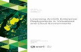 Licensing ArcGIS Enterprise Deployments in Virtualized and ... · Licensing ArcGIS Enterprise Deployments in Virtualized and Cloud Environments NOVEMBER 2018