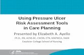 Using Pressure Ulcer Risk Assessment Tools in Care Planning · Using Pressure Ulcer Risk Assessment Tools in Care Planning Presented by Elizabeth A. Ayello Ph.D., RN, ACNS-BC, CWON,
