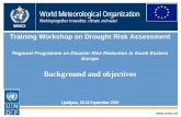 World Meteorological Organization - wamis.org€¦ · World Meteorological Organization Working together in weather, climate and water Training Workshop on Drought Risk Assessment