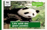 RS 12 y Pandas in · PDF fileMy pandas Pandas in numbers 60+ Pandas munch on more than 60 different species of bamboo. X2 Pandas often give birth to twins. 1.3 biLLion There are more