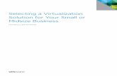 Selecting a Virtualization Solution for Your Small or ...download3.vmware.com/elq/img/APAC_MISC/SMB_2011/wp/Selecting a... · Selecting a Virtualization Solution for Your Small or