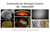 Conteúdo de Biologia Celular IB -UNICAMP€¦ · • Métodos de estudo da célula: cortes histológicos, esmagamentos, esfregaços, decalques, citoquímica, imunocitoquímica, fracionamento