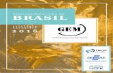 Empreendedorismo no BRASIL - datasebrae.com.brdatasebrae.com.br/wp-content/uploads/2019/02/Relatório-Executivo... · Empreendedorismo no Brasil 2018 7 IntroduçãoIntrodução Em