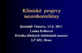 Klinické projevy neuroborreliózy - zuova.cz · PCR in diagnosis of Bb infection and studies on taxonomic classification. APMIS Suppl 2002; 105: 1-40 48 % (25 pacientů) x pozitivní