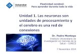 Unidad 1. Las neuronas son unidades de procesamiento y el ... · Las neuronas son unidades de procesamiento y el cerebro es una red de conexiones Dr. Pedro Montoya Instituto Universitario