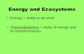 Chapter 4 Energy and Ecosystems - lpcsdtmorgan.weebly.com · Energy and Ecosystems • Energy = ability to do work • Thermodynamics = study of energy and its transformations . Laws