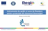 Instrumente de sprijin și surse de finanțare - adrcentru.ro · rașov, 6 martie 2018 I facebook.com/inforegio.ro Instrumente de sprijin și surse de finanțare pentru proiectele