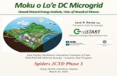 Hawaii Natural Energy Institute, Univ. of Hawaii at Manoa · PDF fileHawaii Natural Energy Institute, Univ. of Hawaii at Manoa Grid System Technologies Advanced Research Team Leon