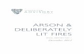 ARSON & DELIBERATELY LIT FIRES - sentencingcouncil.tas.gov.au · vi Arson and Deliberately it Fires – Final Report o. 1 While research suggests that there are general criminal characteristics