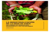 LA INDUSTRIALIZACIÓN DE LA HOJA DE COCA · 2.2 Resumen de la industria de la hoja de coca en Colombia 23 3. EL MARCO NORMATIVO PARA COLOMBIA 27 3.1 Breve historia de las leyes de