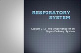 Lesson 9.1: The Importance of an Organ Delivery System · 09.11.2013 · Lesson 9.1: The Importance of an Organ Delivery System Animals require a continuous supply of oxygen (O 2)