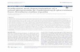Purification and characterization of a novel ginsenoside ... · example, anti-inflammatory, anticarcinogenic, antiangio-genesis, antiaging, antiallergic, antidiabetic, and hepato-protective