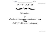 Modul 7 Arbeitsanweisung für AFF-Examiner - dfv.aero¼r... · Version 6 / Modul 7 Seite 7 von 19 2. Arbeitsanweisung für AFF-Examiner 2.1 AFF-Examinergremium Die Gruppengröße