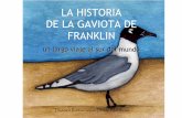 LA HISTORIA DE LA GAVIOTA DE FRANKLIN - redobservadores.clredobservadores.cl/.../02/Cuento-La-Historia-de-la-Gaviota-Franklin.pdf · En especial me gustan las pulgas de mar y otros