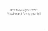 How to Navigate PAWS: Paying your bill · How to Navigate PAWS: Viewing and Paying your bill 1. Viewing your PDF Billing Statements 2 • Once logged into your account, you arrive