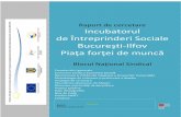 Raport de cercetare Incubatorul de Întreprinderi Sociale ...profitpentruoameni.ro/wp-content/uploads/2013/07/Raport-cercetare_BNS.pdf · Cele mai vizibile rezultate ale sistemului