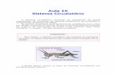 Aula 16 Sistema Circulatório - fuvestibular.com.brfuvestibular.com.br/downloads/apostilas/vestibulando-digital/Biologia/... · Nos peixes, ocorre a hematose (trocas gasosas) nas